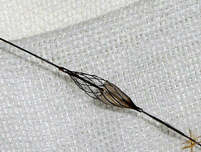 a0055913_8511690.gif