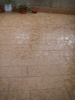 f0133814_1442974.jpg