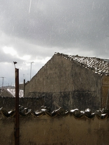 f0133814_1544797.jpg
