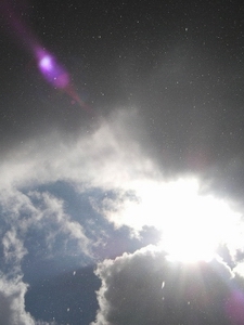 f0133814_1554426.jpg