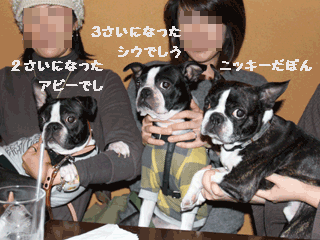 e0080117_0284239.gif
