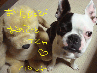 e0080117_041612.gif