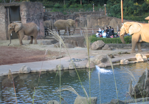 動物園へ行ってきました♪_b0095320_0291719.jpg