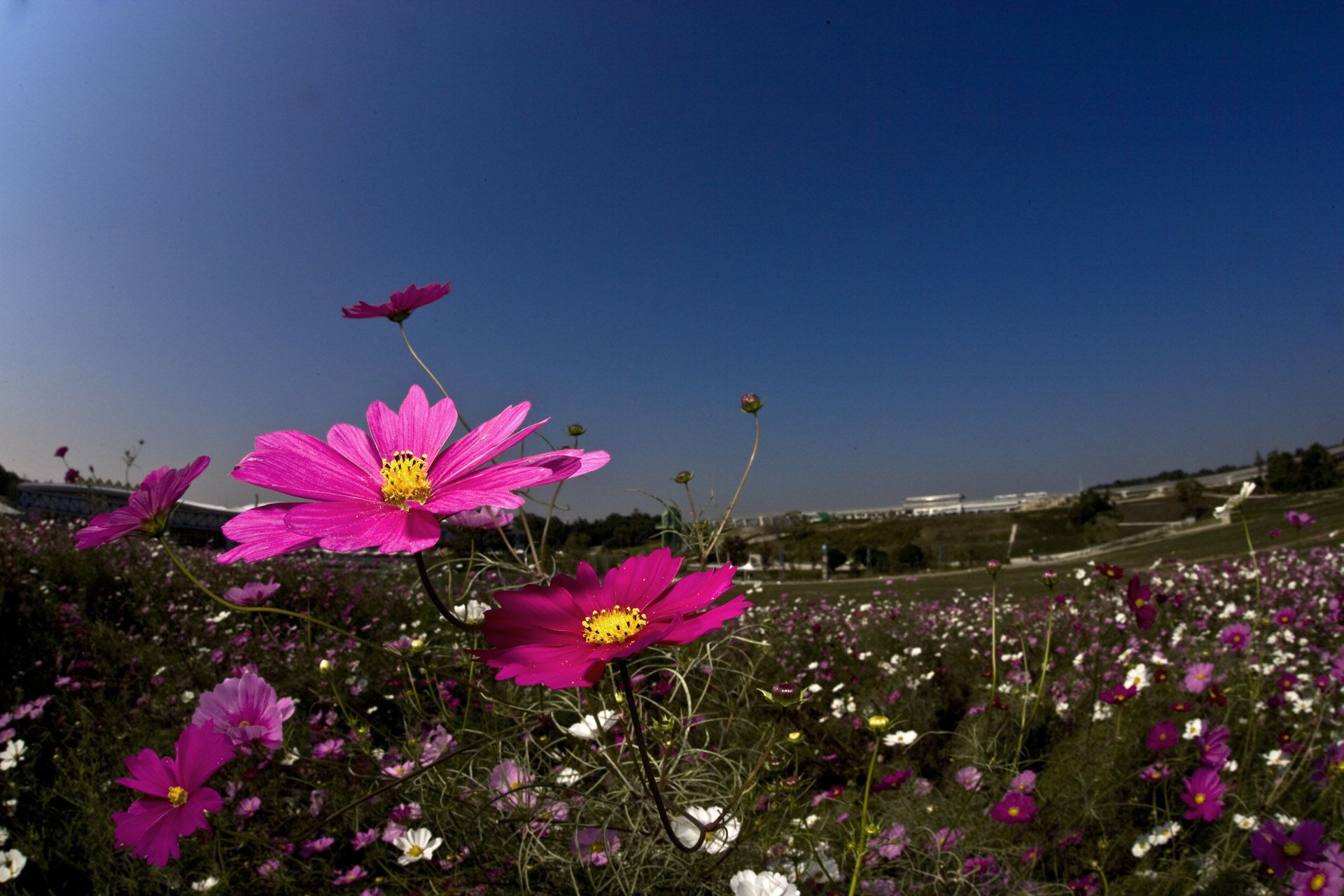 d0073620_2015799.jpg
