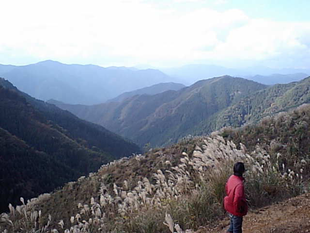 a0048323_22323636.jpg