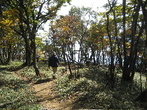 f0143123_8513618.jpg