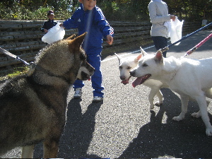 f0143123_8531680.jpg