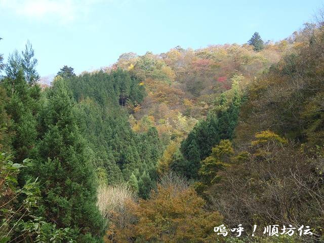 c0106128_0221698.jpg