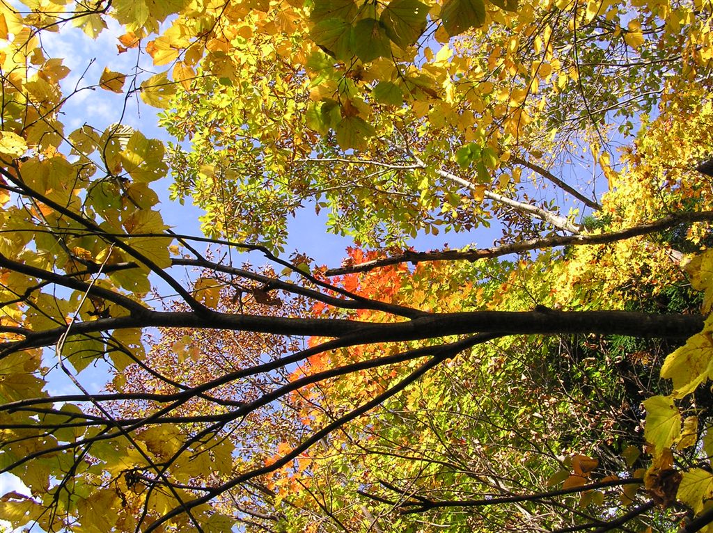 e0121329_224125.jpg