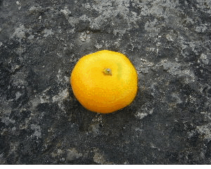 d0075131_23532852.gif