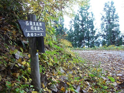 西蔵王高原長峰コース（羽竜沼～同志平）_f0003138_9324754.jpg