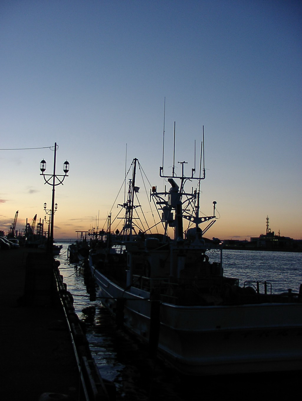 陽が沈むころ 11月5日_f0113639_1925418.jpg