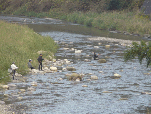 a0056140_1736026.gif