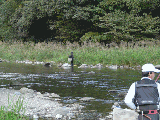 a0056140_21275430.gif