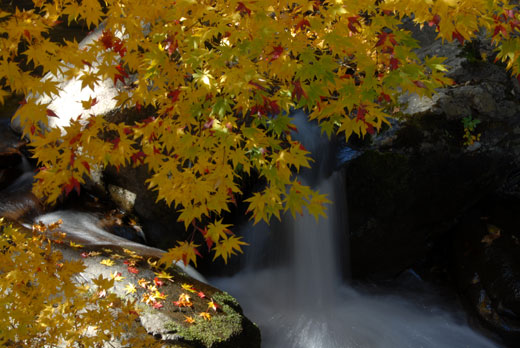 滝と紅葉_c0093046_6425482.jpg