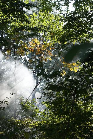 d0083761_19224592.jpg