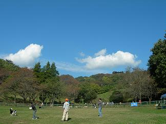 d0093462_7253930.jpg