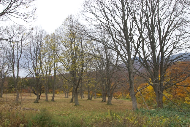 c0071763_15593.jpg