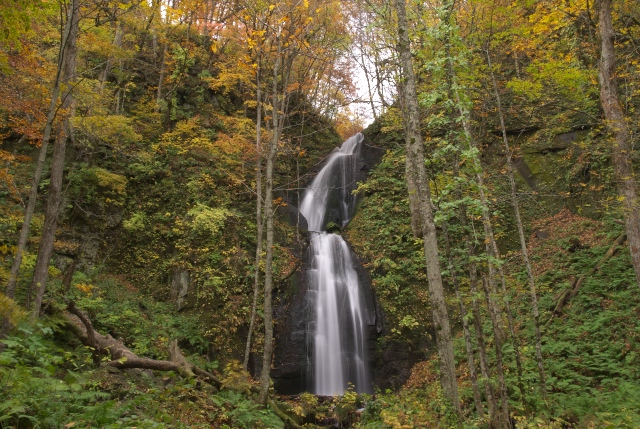 c0071763_21565.jpg