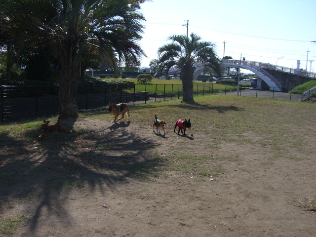c0081363_082440.jpg