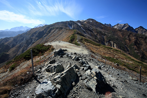 d0113164_2192115.jpg