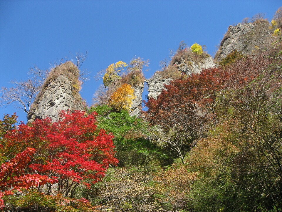 根子岳登山_f0016066_1675747.jpg