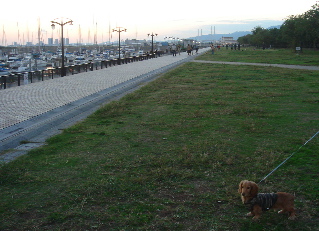 f0089568_20103947.jpg