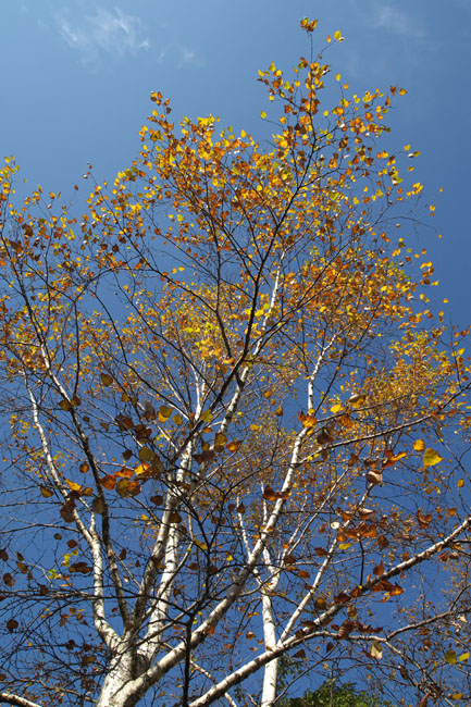c0054876_16494415.jpg