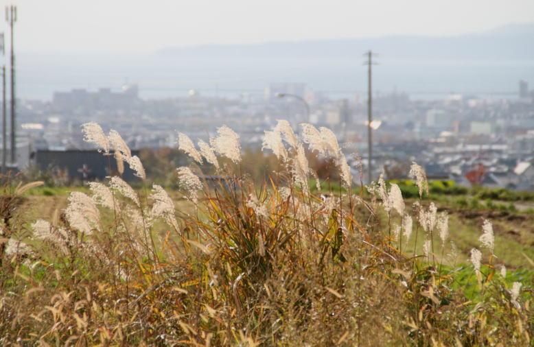 c0112479_7341589.jpg