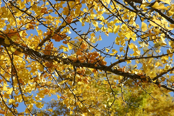 b0003280_22514314.jpg