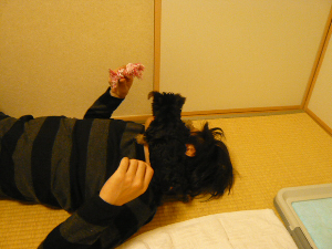 f0018384_12143031.jpg