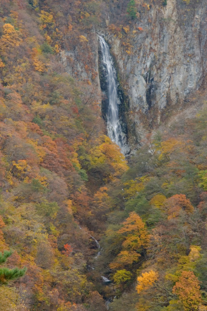 長野県 山ノ内町 志賀高原_c0092386_1928225.jpg