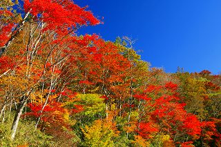 雨男、釈迦ケ岳で秋色に萌え～！-完_f0073587_10524225.jpg