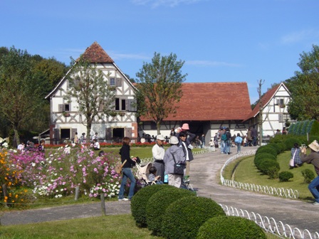 f0141890_1065971.jpg