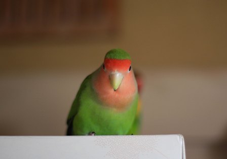 c0118496_217466.jpg