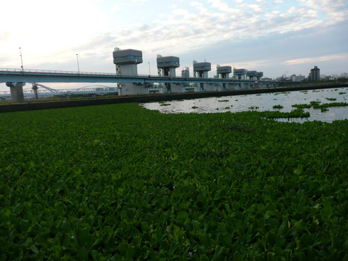 f0146198_23404920.jpg