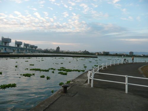 f0146198_235834.jpg