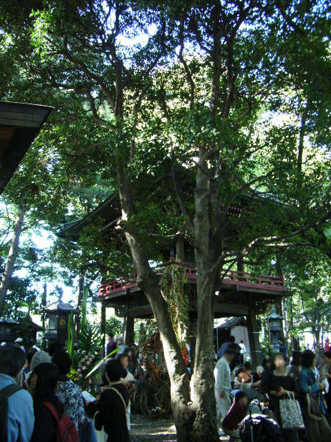 e0104399_1055112.jpg