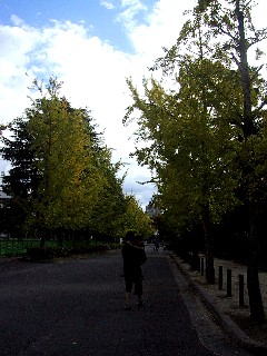 d0116910_4385530.jpg