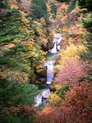 e0078510_18514881.jpg