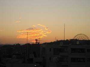 a0105023_9552672.jpg