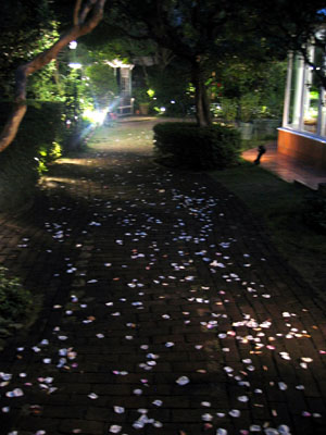 c0035926_5595946.jpg