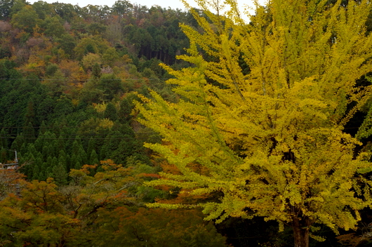 c0045129_22252296.jpg