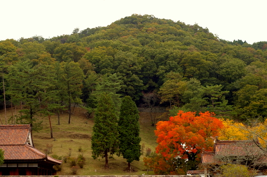c0045129_22254498.jpg