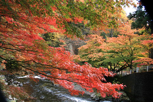 中野もみじ山と句碑_d0038630_20442188.jpg