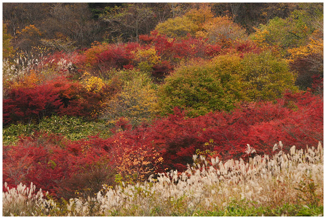 紅葉求めて茶臼山　　山頂編_e0077631_18404052.jpg