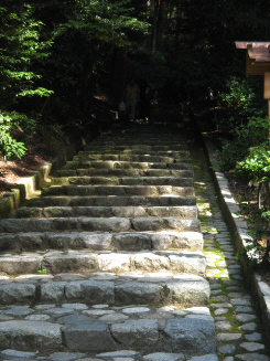 d0017632_2251750.jpg