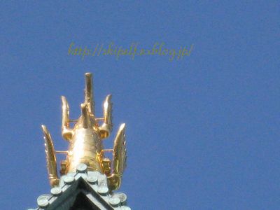 気に入ったよ、名古屋城☆ 西の丸編_c0134734_23522279.jpg