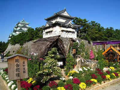 気に入ったよ、名古屋城☆ 西の丸編_c0134734_23525574.jpg