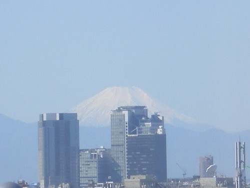 a0055835_17521595.jpg